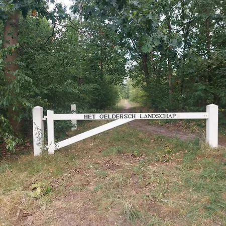 117 Rand Veluwe In Het Bos, Tegen De Heide Aan En Nabij De Ijssel Hattemerbroek