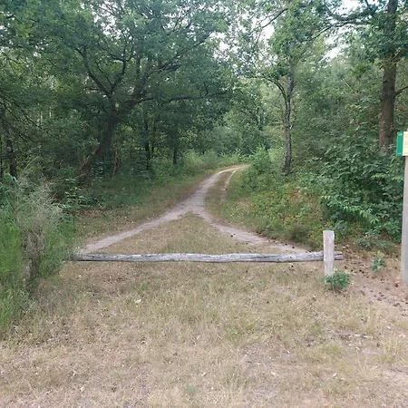 Apartment 117 Rand Veluwe In Het Bos, Tegen De Heide Aan En Nabij De Ijssel *