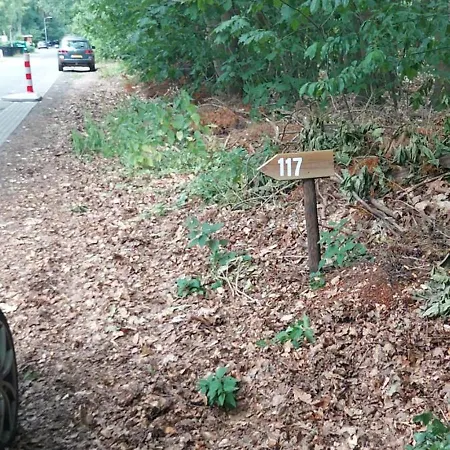 117 Rand Veluwe In Het Bos, Tegen De Heide Aan En Nabij De Ijssel *