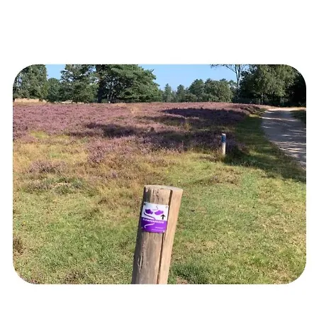 117 Rand Veluwe In Het Bos, Tegen De Heide Aan En Nabij De Ijssel Apartment Hattemerbroek