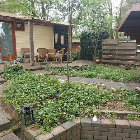 Apartment 117 Rand Veluwe In Het Bos, Tegen De Heide Aan En Nabij De Ijssel *