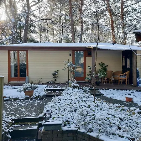 117 Rand Veluwe In Het Bos, Tegen De Heide Aan En Nabij De Ijssel *