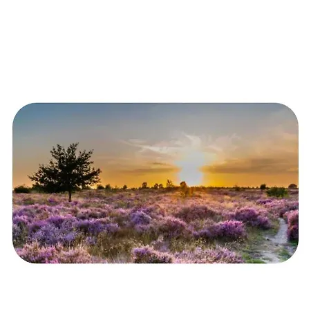 Apartment 117 Rand Veluwe In Het Bos, Tegen De Heide Aan En Nabij De Ijssel Hattemerbroek
