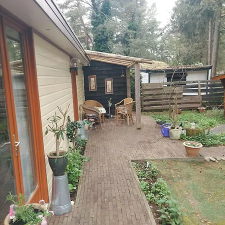 117 Rand Veluwe In Het Bos, Tegen De Heide Aan En Nabij De Ijssel * Hattemerbroek